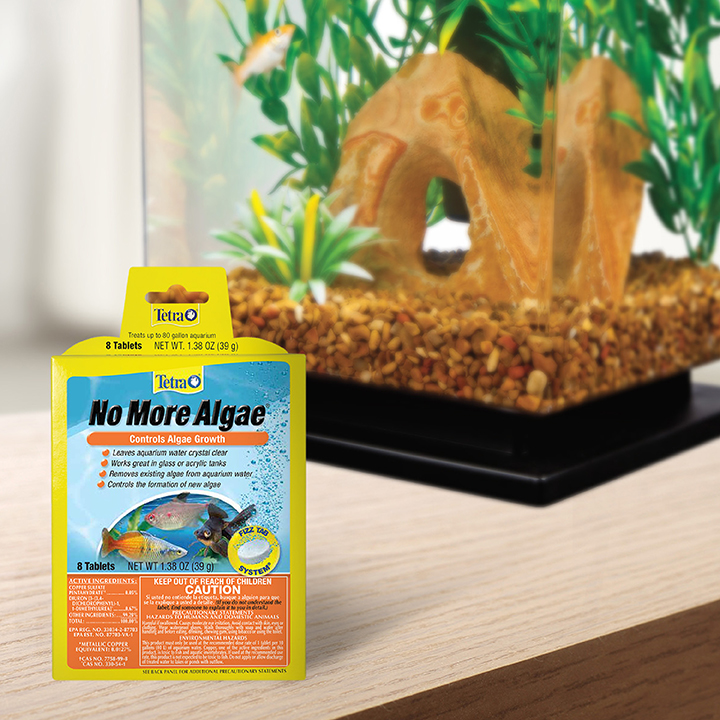 Algae tablets for shop fish tank